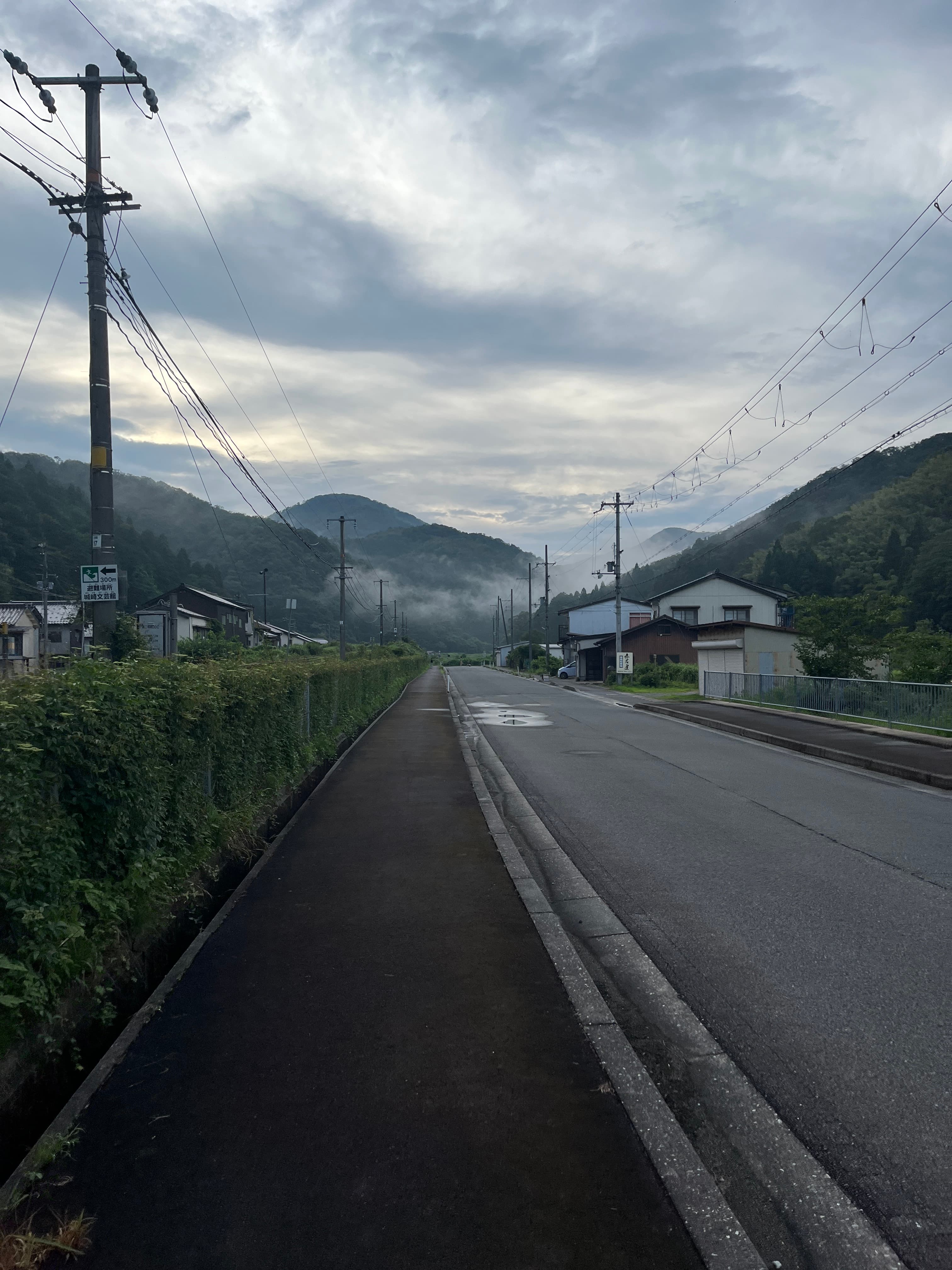 Beautiful misty mountain walk