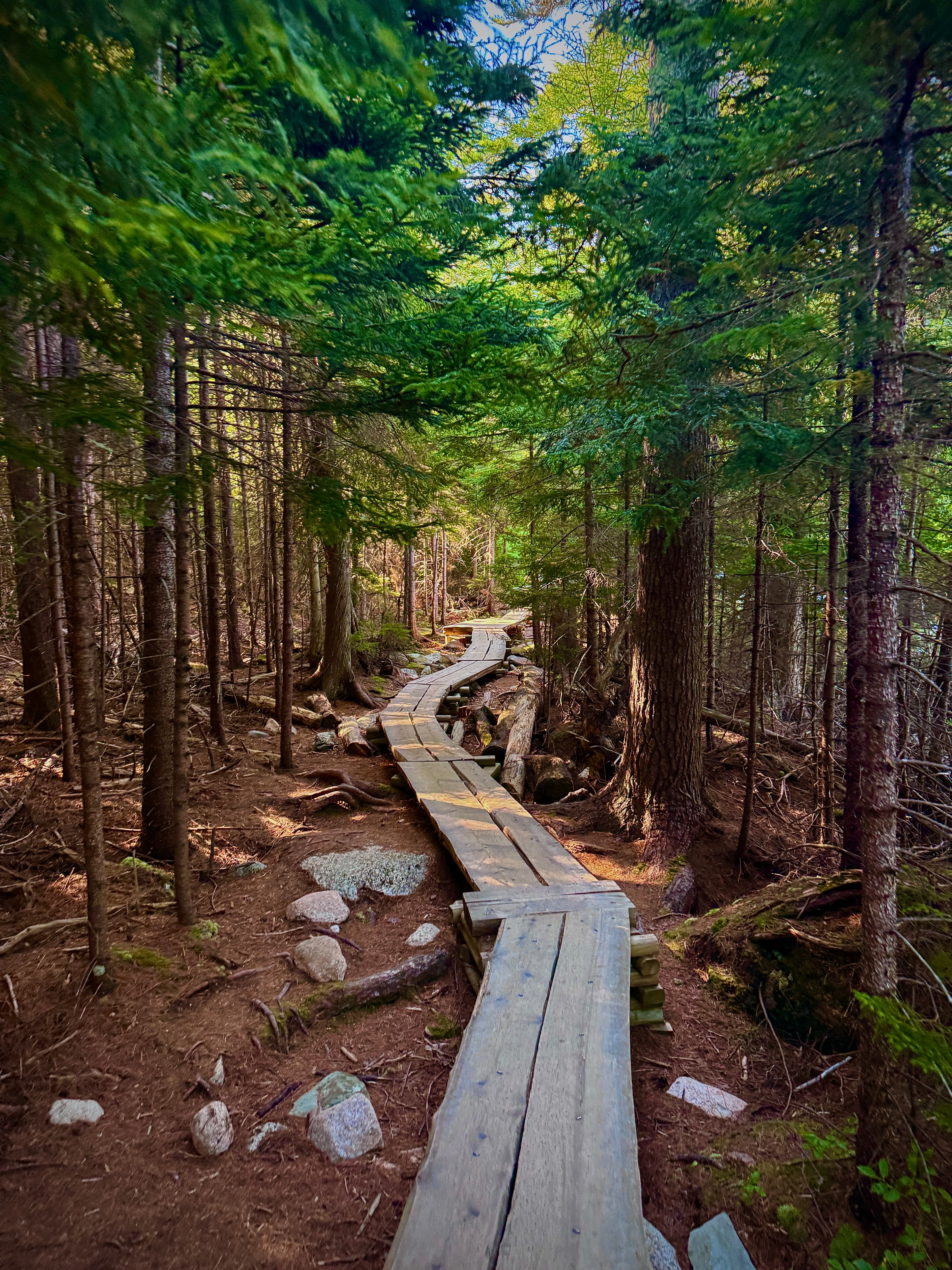 Jordan Pond boardwalk path